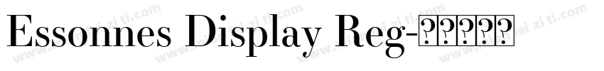 Essonnes Display Reg字体转换